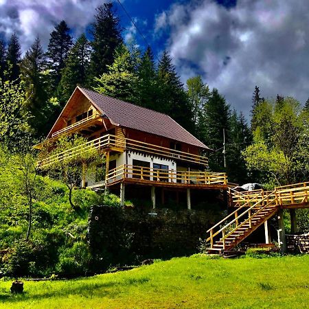 Cabana Cota 1000 Arieşeni 외부 사진