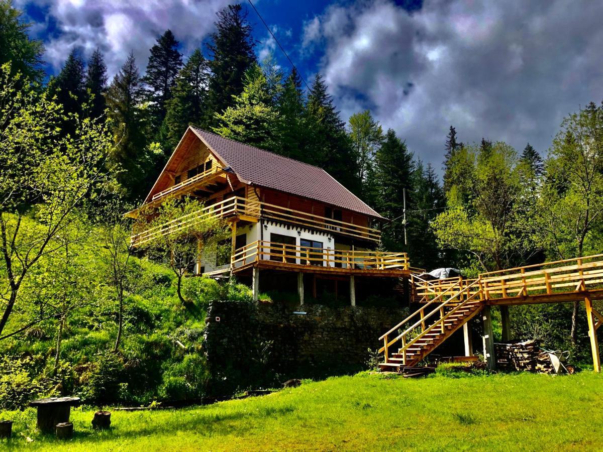 Cabana Cota 1000 Arieşeni 외부 사진