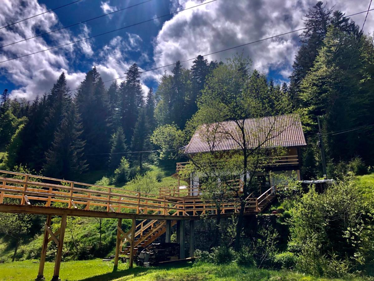 Cabana Cota 1000 Arieşeni 외부 사진